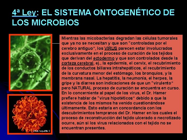 4ª Ley: EL SISTEMA ONTOGENÉTICO DE LOS MICROBIOS Virus hepatitis C Mientras las micobacterias