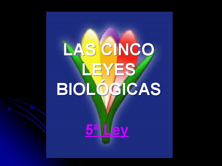 LAS CINCO LEYES BIOLÓGICAS 5ª Ley 