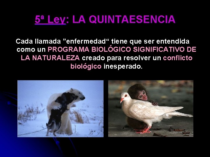 5ª Ley: LA QUINTAESENCIA Cada llamada ”enfermedad“ tiene que ser entendida como un PROGRAMA