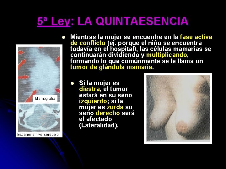 5ª Ley: LA QUINTAESENCIA l Mientras la mujer se encuentre en la fase activa