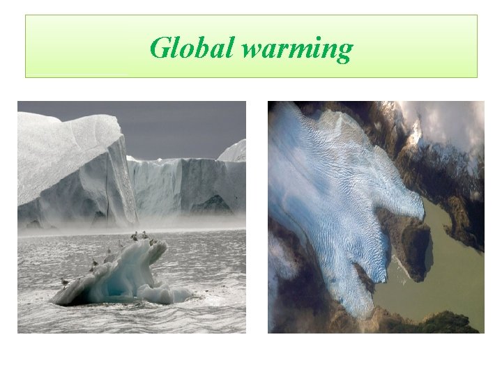 Global warming 
