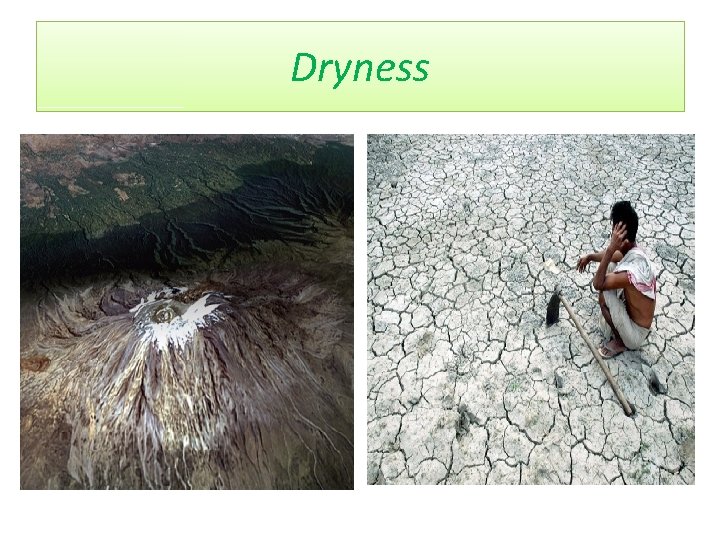 Dryness 