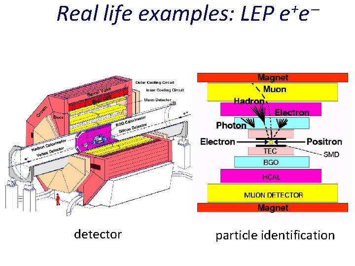 Real life examples: LEP detector + ee particle identification 