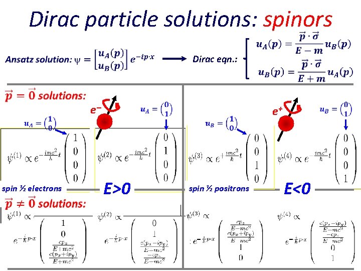 Dirac particle solutions: spinors Dirac eqn. : e spin ½ electrons e+ E>0 spin