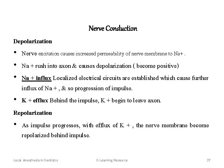 Nerve Conduction Depolarization • Nerve excitation causes increased permeability of nerve membrane to Na+.