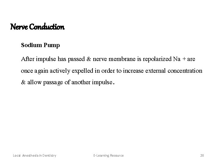 Nerve Conduction Sodium Pump After impulse has passed & nerve membrane is repolarized Na