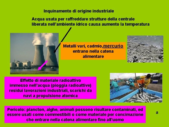 Inquinamento di origine industriale Acqua usata per raffreddare strutture della centrale liberata nell’ambiente idrico