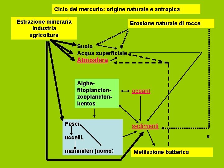 Ciclo del mercurio: origine naturale e antropica Estrazione mineraria industria agricoltura Erosione naturale di