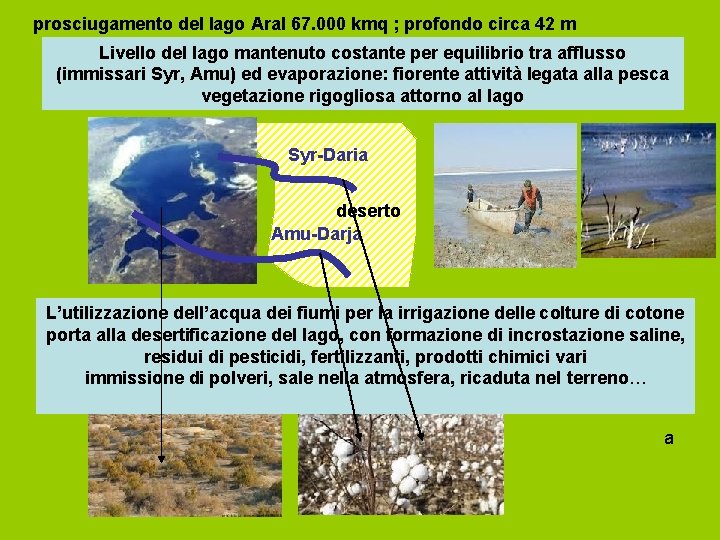 prosciugamento del lago Aral 67. 000 kmq ; profondo circa 42 m Livello del