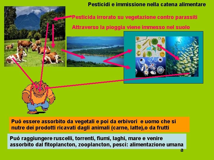 Pesticidi e immissione nella catena alimentare Pesticida irrorato su vegetazione contro parassiti Attraverso la