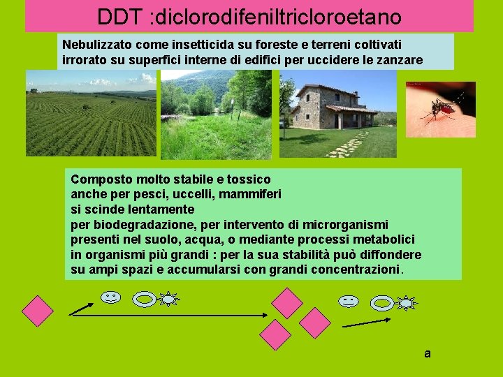 DDT : diclorodifeniltricloroetano Nebulizzato come insetticida su foreste e terreni coltivati irrorato su superfici