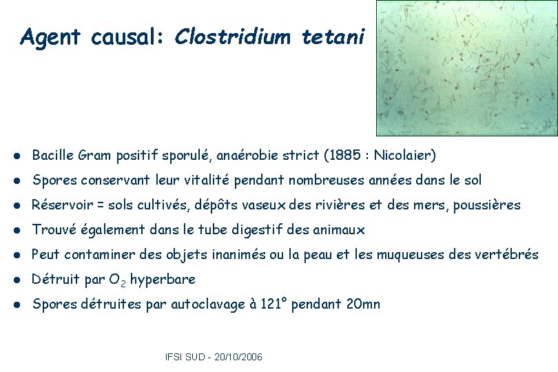 Agent causal: Clostridium tetani l Bacille Gram positif sporulé, anaérobie strict (1885 : Nicolaier)