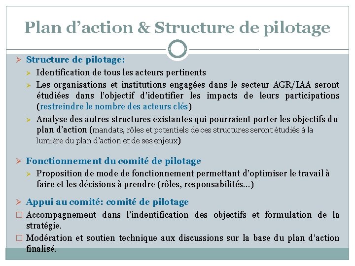 Plan d’action & Structure de pilotage Ø Structure de pilotage: Ø Ø Ø Identification