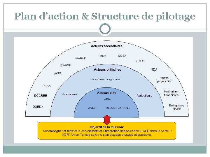 Plan d’action & Structure de pilotage 