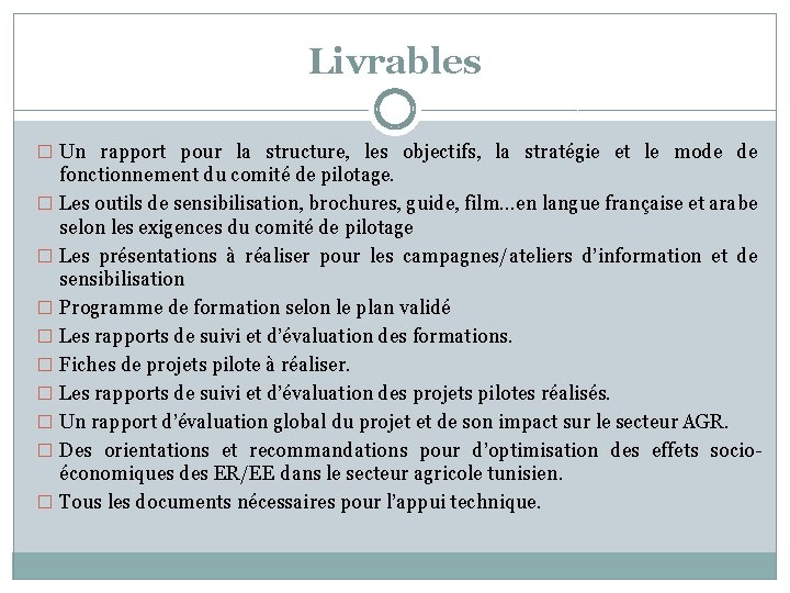 Livrables � Un rapport pour la structure, les objectifs, la stratégie et le mode