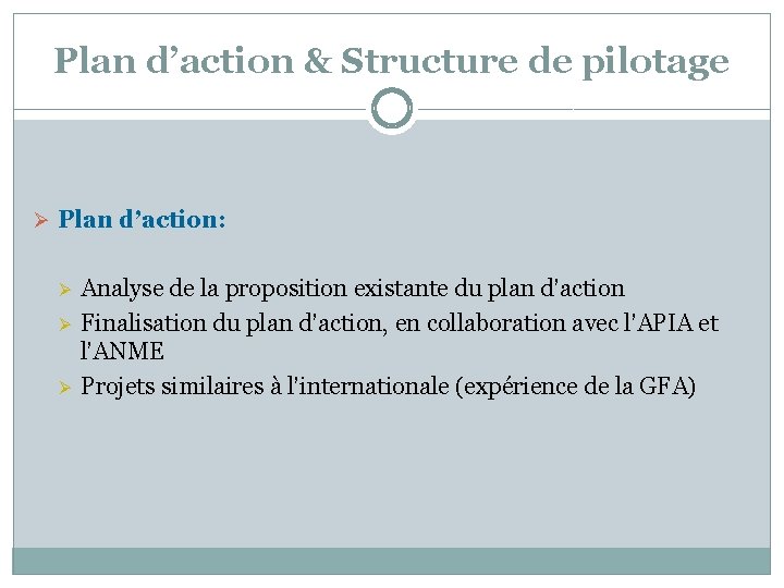 Plan d’action & Structure de pilotage Ø Plan d’action: Ø Ø Ø Analyse de