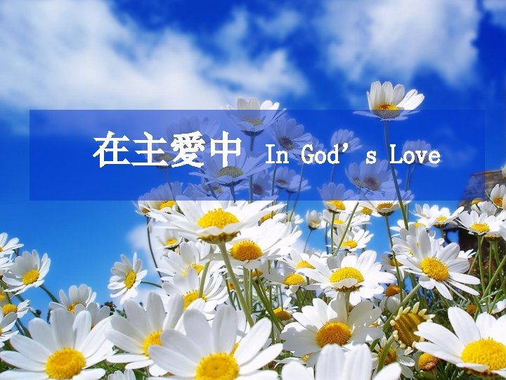 在主愛中 In God’s Love 