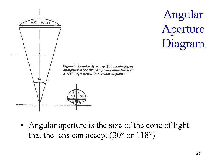 Angular Aperture Diagram • Angular aperture is the size of the cone of light