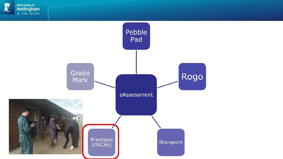 Trials and tribulations of online assessment Wendela Wapenaar