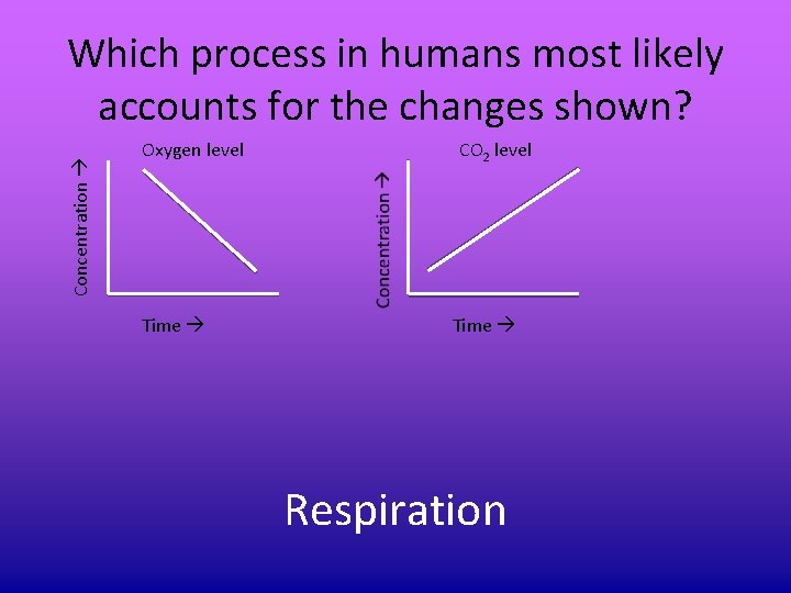 Concentration Which process in humans most likely accounts for the changes shown? Oxygen level Concentration Which process in humans most likely accounts for the changes shown? Oxygen level