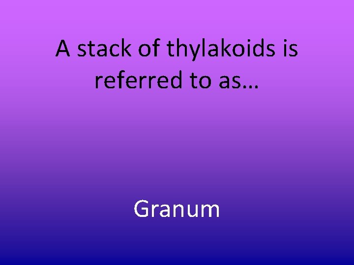 A stack of thylakoids is referred to as… Granum A stack of thylakoids is referred to as… Granum