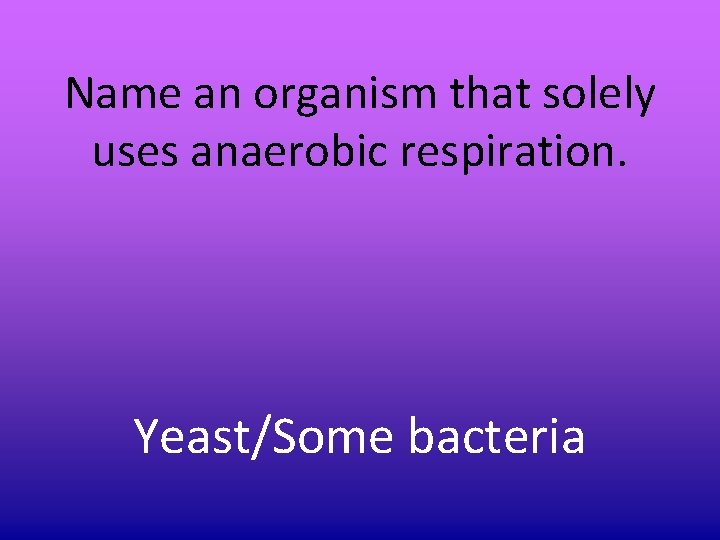 Name an organism that solely uses anaerobic respiration. Yeast/Some bacteria Name an organism that solely uses anaerobic respiration. Yeast/Some bacteria