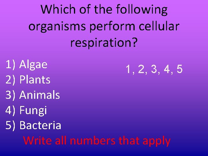 Which of the following organisms perform cellular respiration? 1) Algae 1, 2, 3, 4, Which of the following organisms perform cellular respiration? 1) Algae 1, 2, 3, 4,