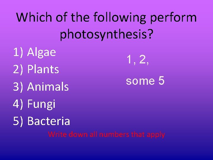 Which of the following perform photosynthesis? 1) Algae 2) Plants 3) Animals 4) Fungi Which of the following perform photosynthesis? 1) Algae 2) Plants 3) Animals 4) Fungi