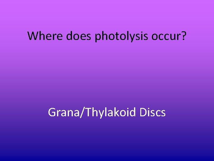 Where does photolysis occur? Grana/Thylakoid Discs Where does photolysis occur? Grana/Thylakoid Discs