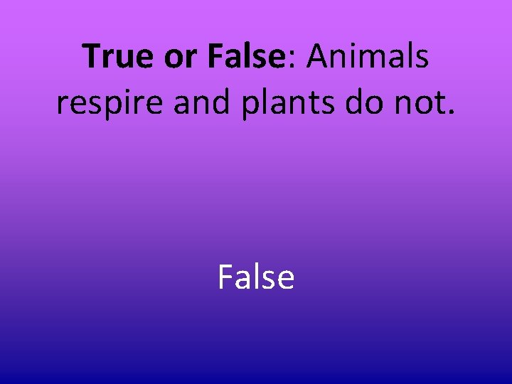 True or False: Animals respire and plants do not. False True or False: Animals respire and plants do not. False