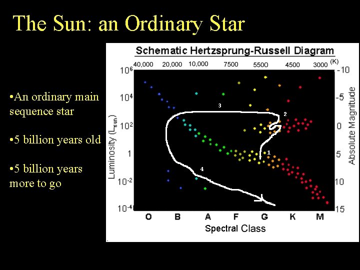 The Sun: an Ordinary Star • An ordinary main sequence star • 5 billion