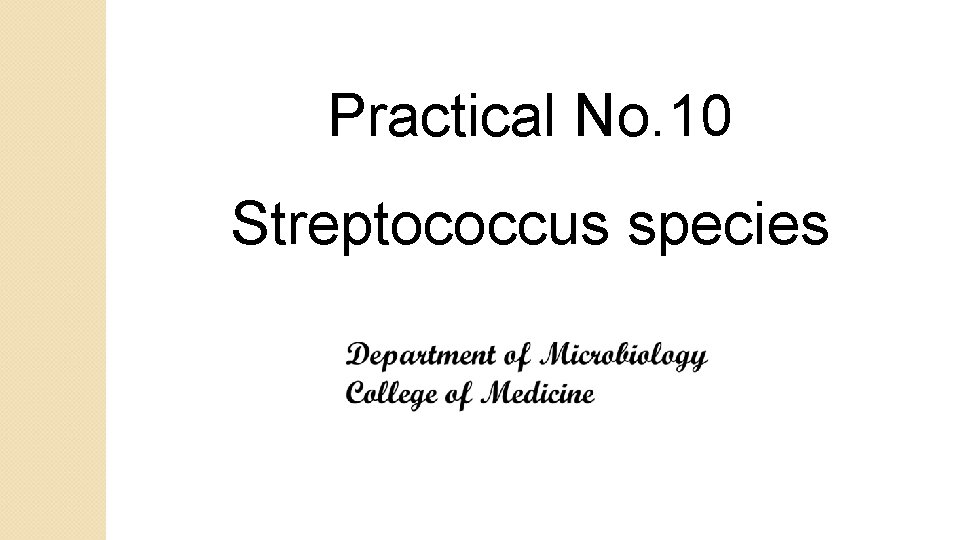 Practical No. 10 Streptococcus species 