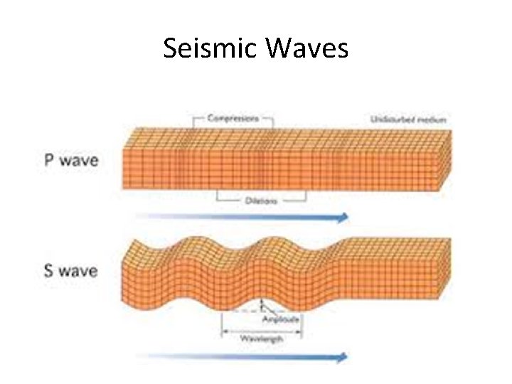 Seismic Waves 