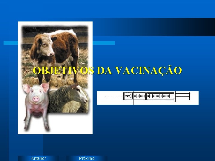 OBJETIVOS DA VACINAÇÃO Anterior Próximo 