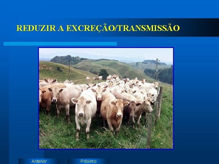 REDUZIR A EXCREÇÃO/TRANSMISSÃO Anterior Próximo 