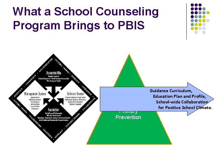 What a School Counseling Program Brings to PBIS Primary Prevention Guidance Curriculum, Education Plan