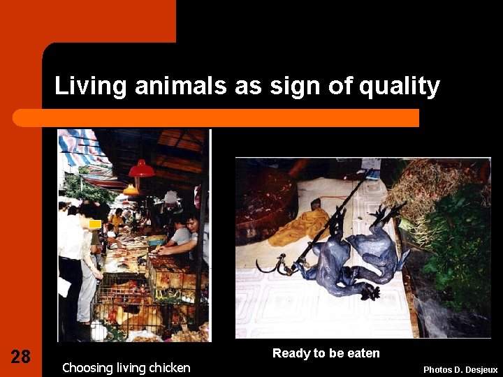 Living animals as sign of quality 28 Choosing living chicken Ready to be eaten