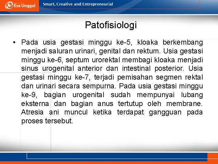 Patofisiologi • Pada usia gestasi minggu ke-5, kloaka berkembang menjadi saluran urinari, genital dan