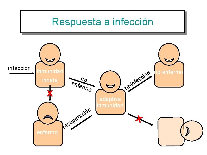 Respuesta a infección infeccion infección Inmunidad no enfe rmo innata x n o ó