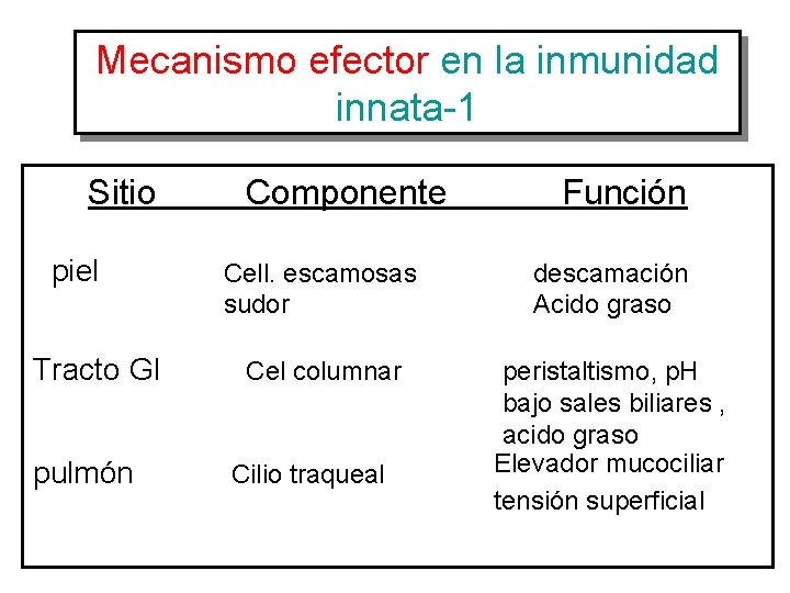 Mecanismo efector en la inmunidad innata-1 Sitio piel Tracto GI pulmón Componente Función Cell.