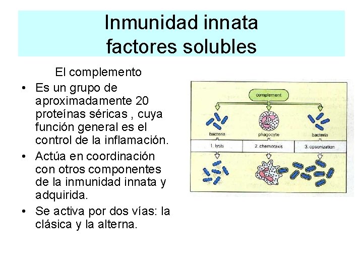 Inmunidad innata factores solubles El complemento • Es un grupo de aproximadamente 20 proteínas