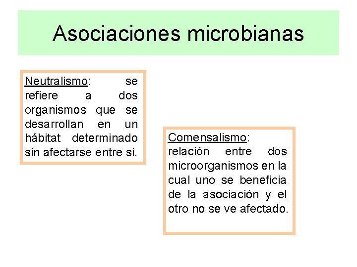 Asociaciones microbianas Neutralismo: se refiere a dos organismos que se desarrollan en un hábitat