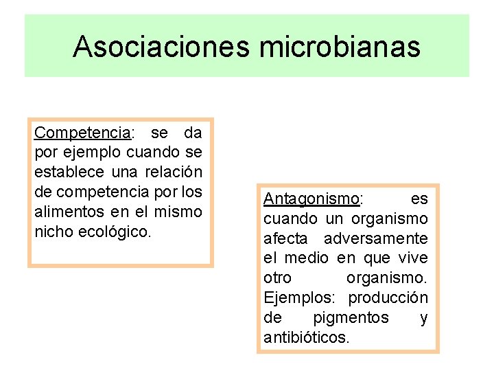 Asociaciones microbianas Competencia: se da por ejemplo cuando se establece una relación de competencia