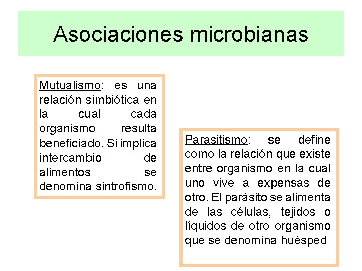 Asociaciones microbianas Mutualismo: es una relación simbiótica en la cual cada organismo resulta beneficiado.