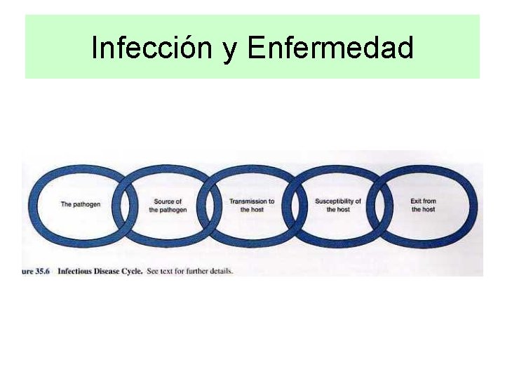 Infección y Enfermedad 