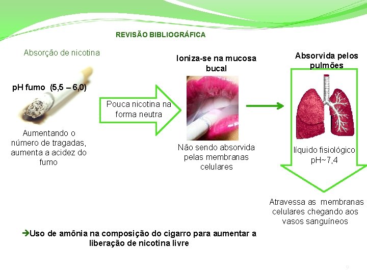 REVISÃO BIBLIOGRÁFICA Absorção de nicotina Ioniza-se na mucosa bucal Absorvida pelos pulmões Não sendo