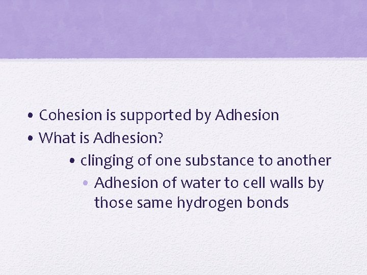  • Cohesion is supported by Adhesion • What is Adhesion? • clinging of