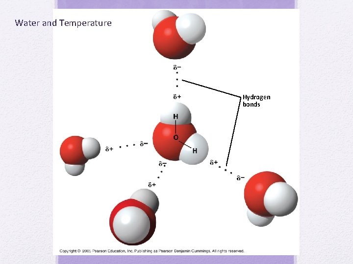 Water and Temperature Hydrogen bonds 