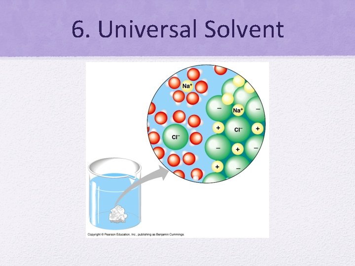 6. Universal Solvent 