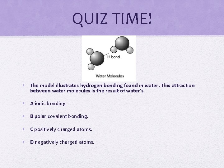 QUIZ TIME! • The model illustrates hydrogen bonding found in water. This attraction between